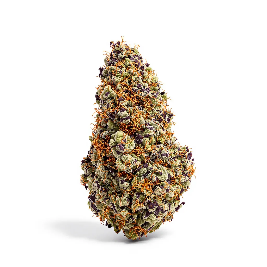 Tangerine Dream 79% indica / 21% sativa — fleur avec trichomes visibles