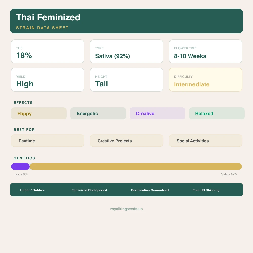 Thai 8% indica / 92% sativa — fleur avec trichomes visibles