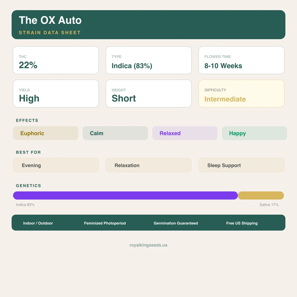The OX 83% indica / 17% sativa — fleur avec trichomes visibles