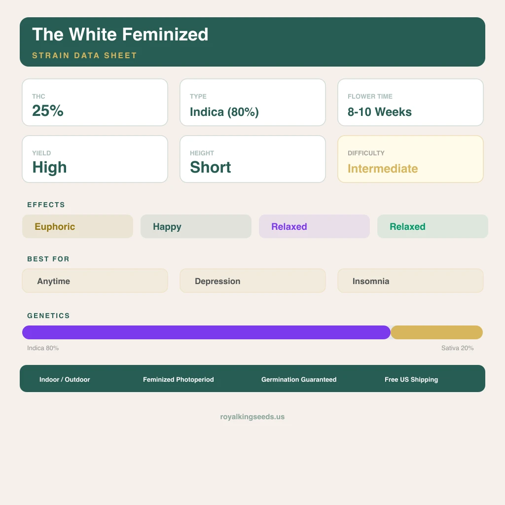 The White 80% indica / 20% sativa — fleur avec trichomes visibles
