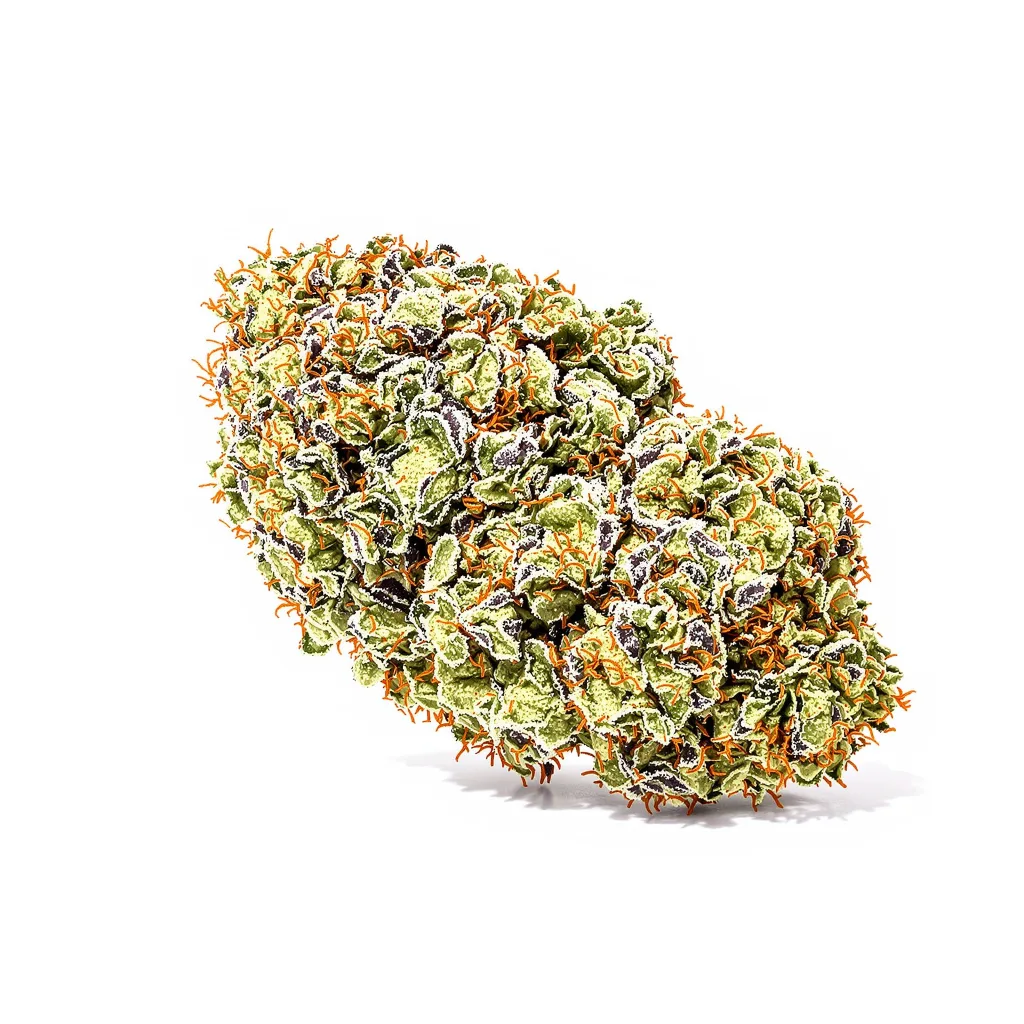 Tiger Woods 47% indica / 53% sativa — fleur avec trichomes visibles