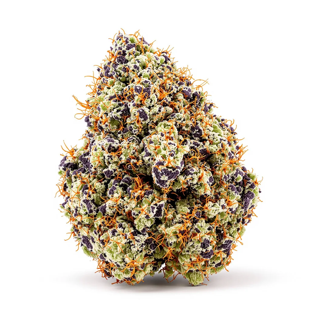 Tigermelon 77% indica / 23% sativa — fleur avec trichomes visibles
