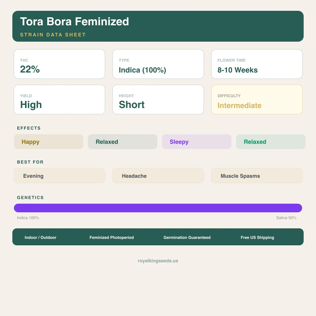 Tora Bora 100% indica / 50% sativa — fleur avec trichomes visibles