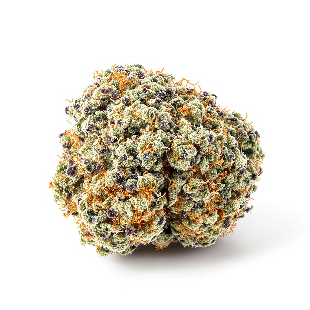 Tropicana Cookies 40% indica / 60% sativa — fleur avec trichomes visibles