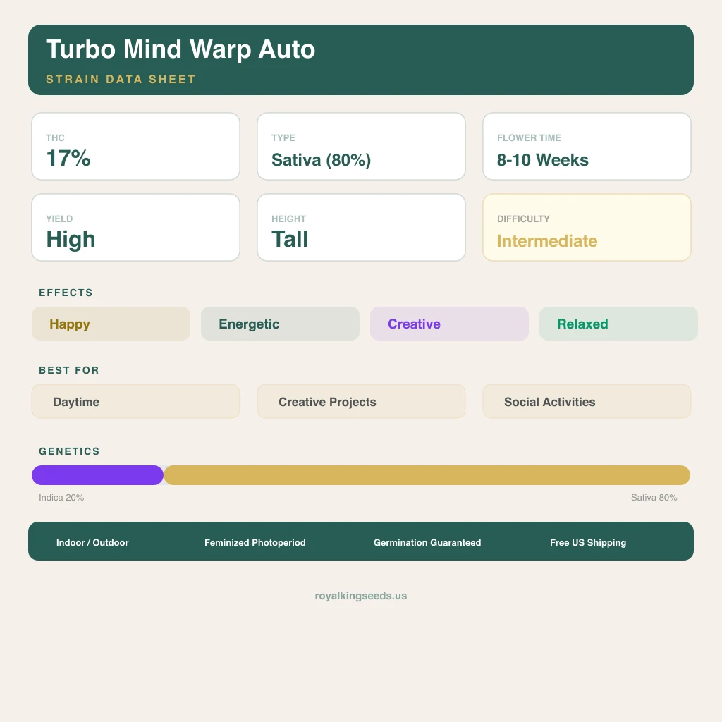 Turbo Mind Warp 20% indica / 80% sativa — fleur avec trichomes visibles