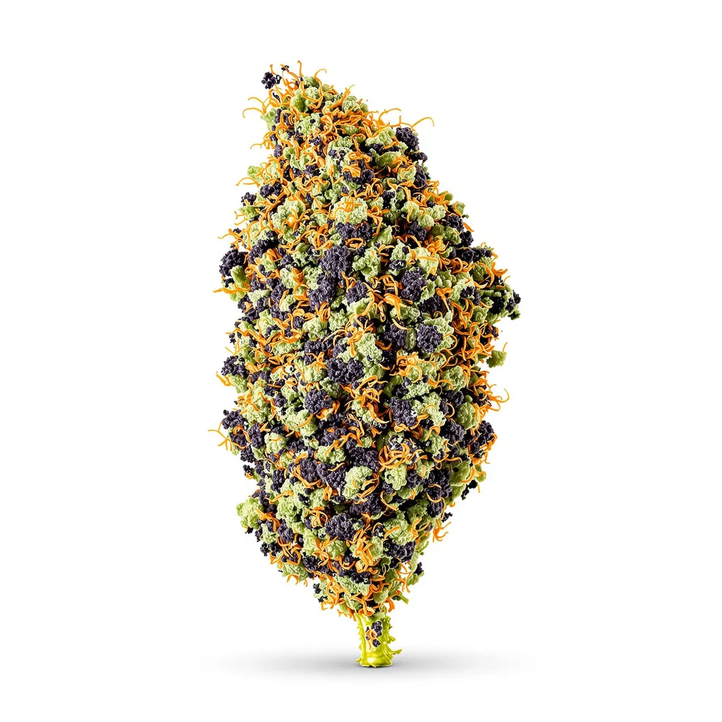 Tyson 85% indica / 15% sativa — fleur avec trichomes visibles