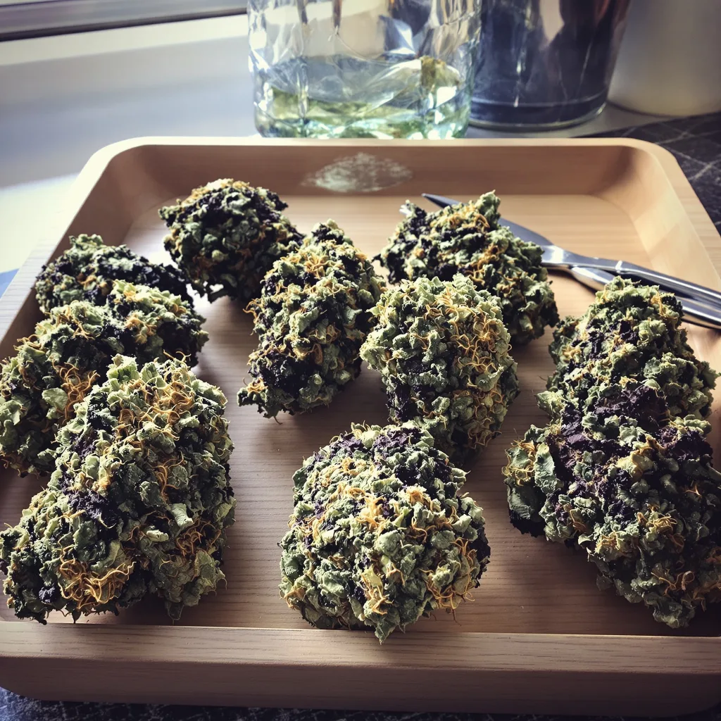 U2 Kush 88% indica / 12% sativa — fleur avec trichomes visibles