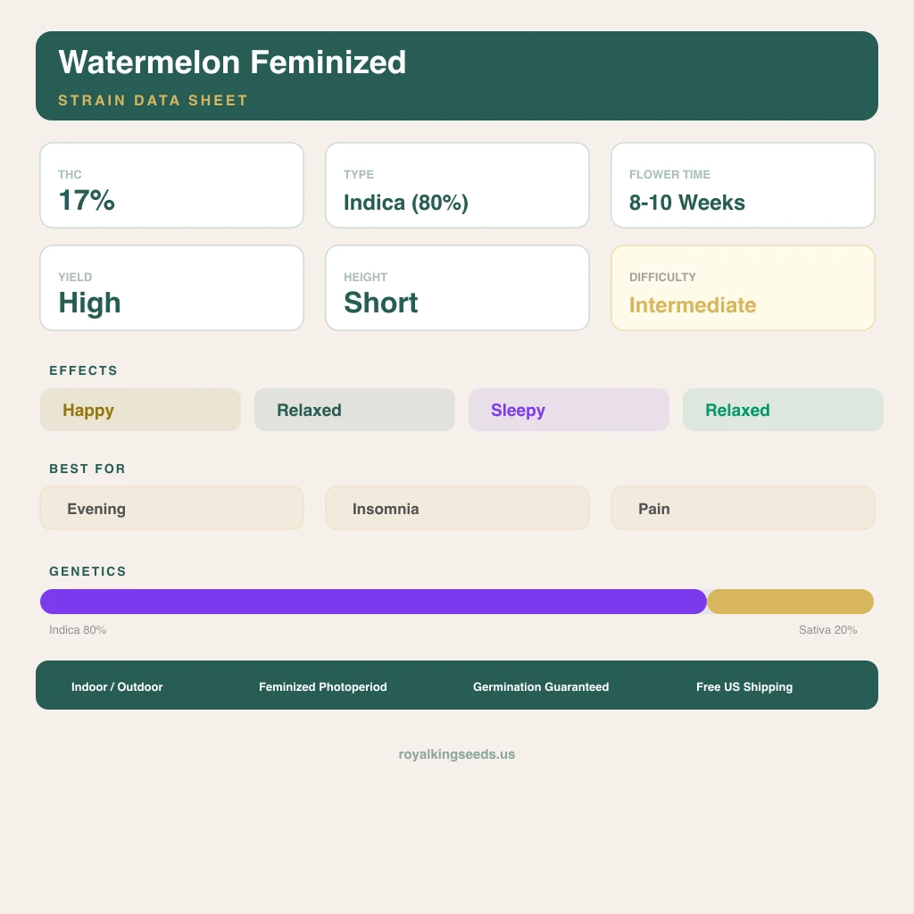 Watermelon 80% indica / 20% sativa — fleur avec trichomes visibles