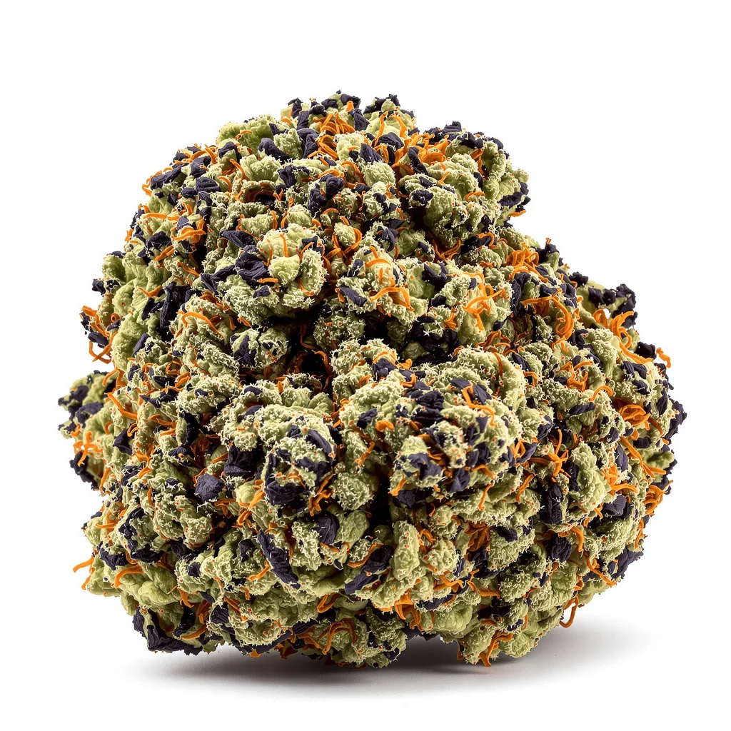 Watermelon 80% indica / 20% sativa — fleur avec trichomes visibles