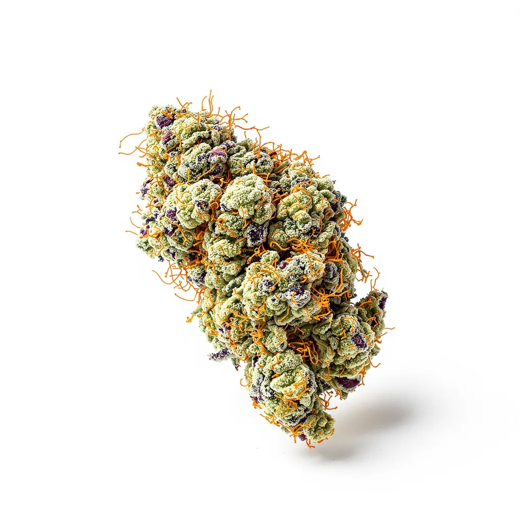 White Fire Alien OG 60% indica / 40% sativa — fleur avec trichomes visibles