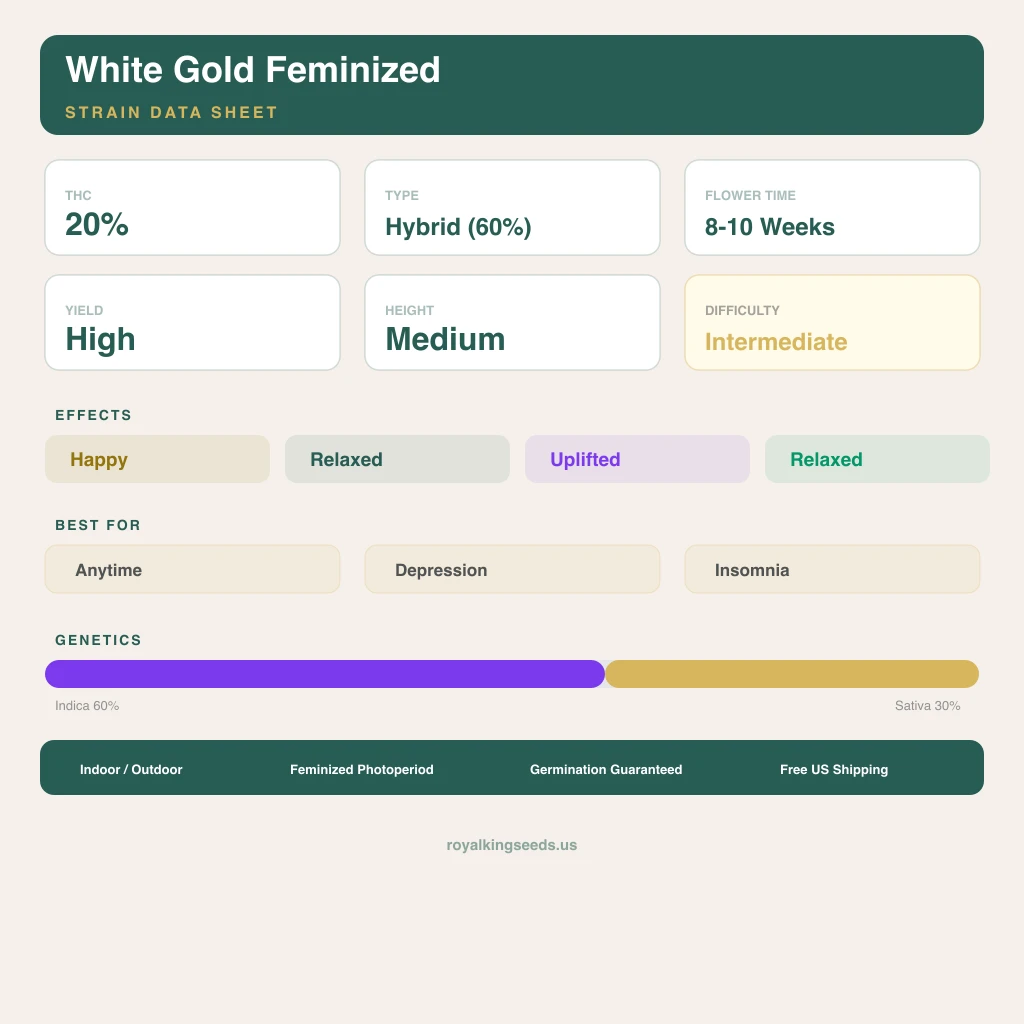 White Gold 60% indica / 30% sativa — fleur avec trichomes visibles