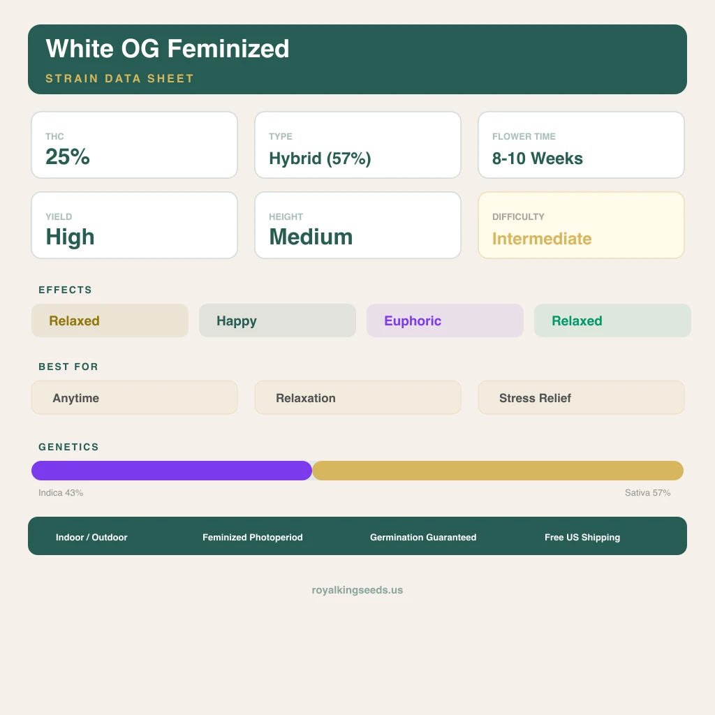 White OG 43% indica / 57% sativa — fleur avec trichomes visibles