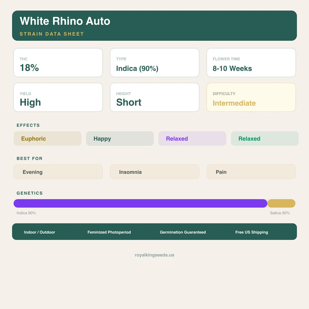 White Rhino 90% indica / 50% sativa — fleur avec trichomes visibles