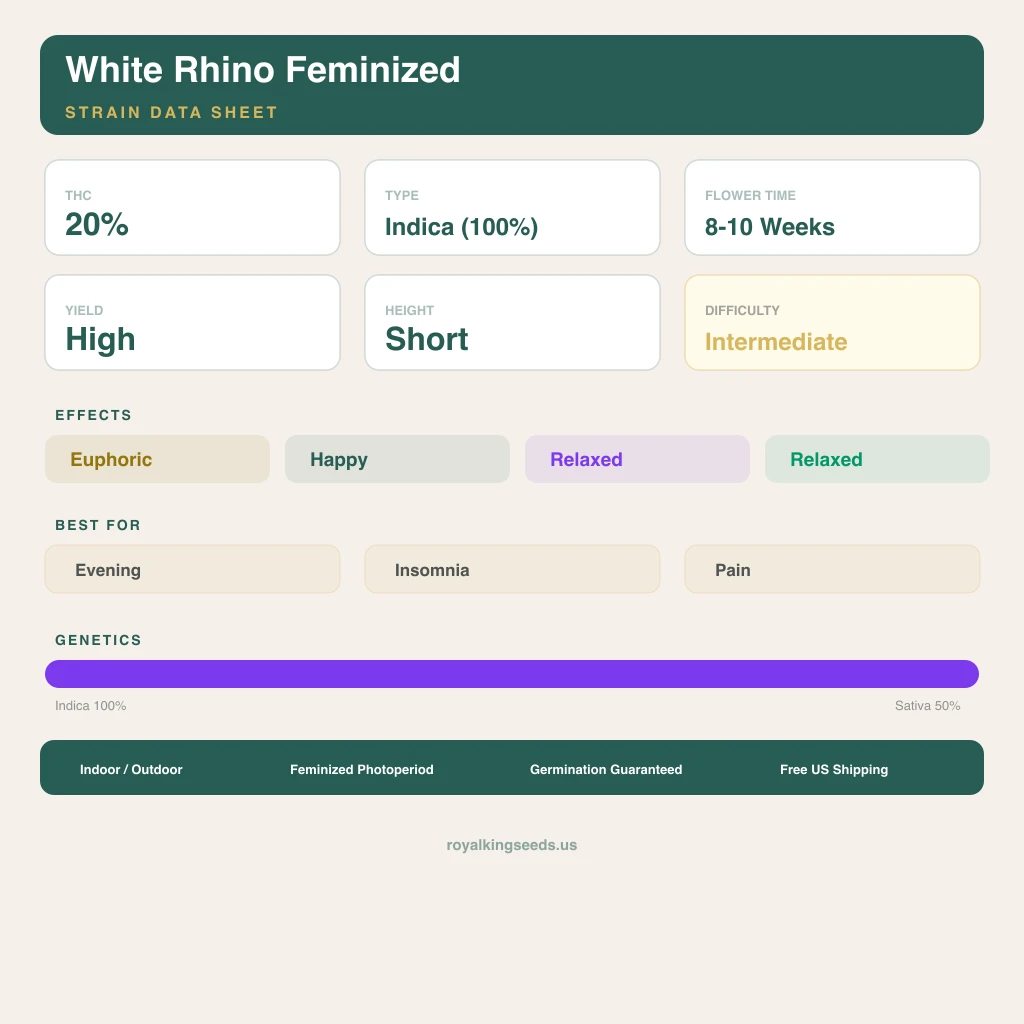 White Rhino 100% indica / 50% sativa — fleur avec trichomes visibles