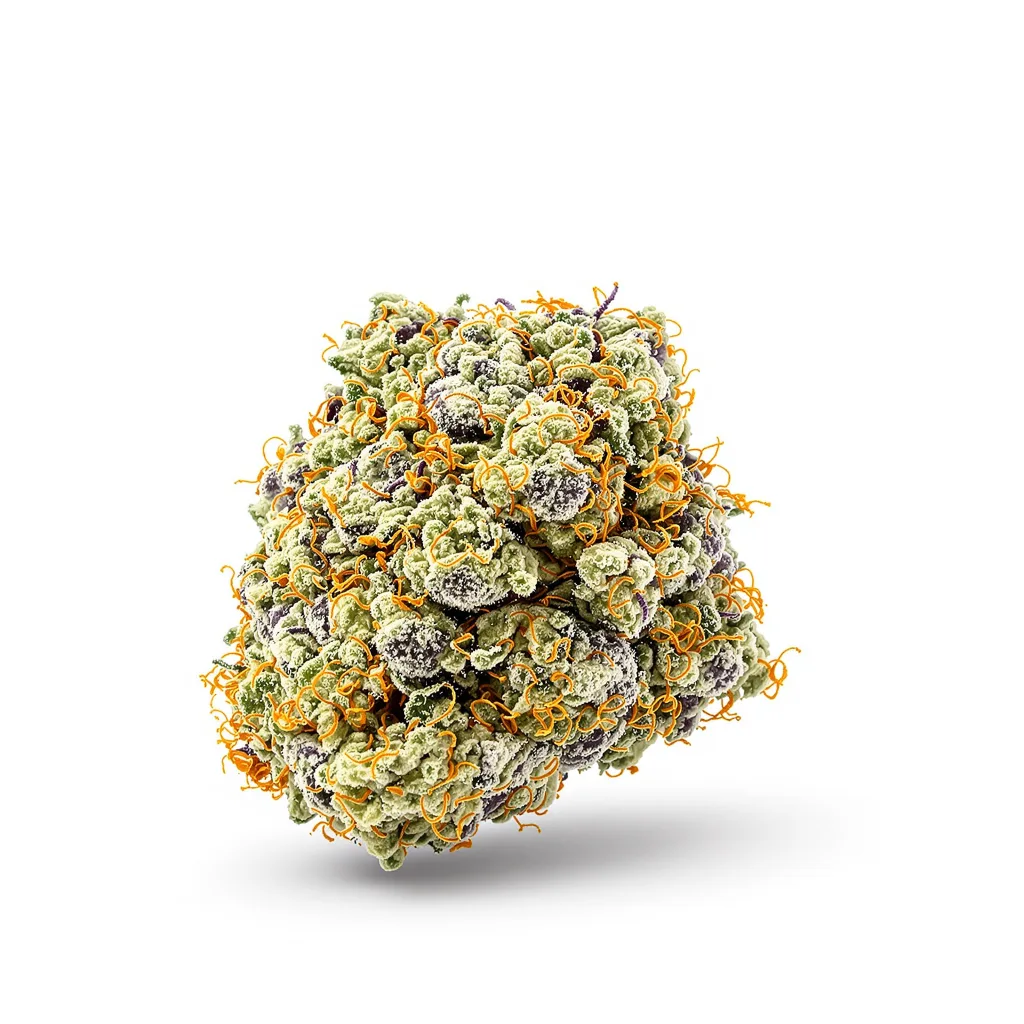 White Widow 50% indica / 40% sativa — fleur avec trichomes visibles