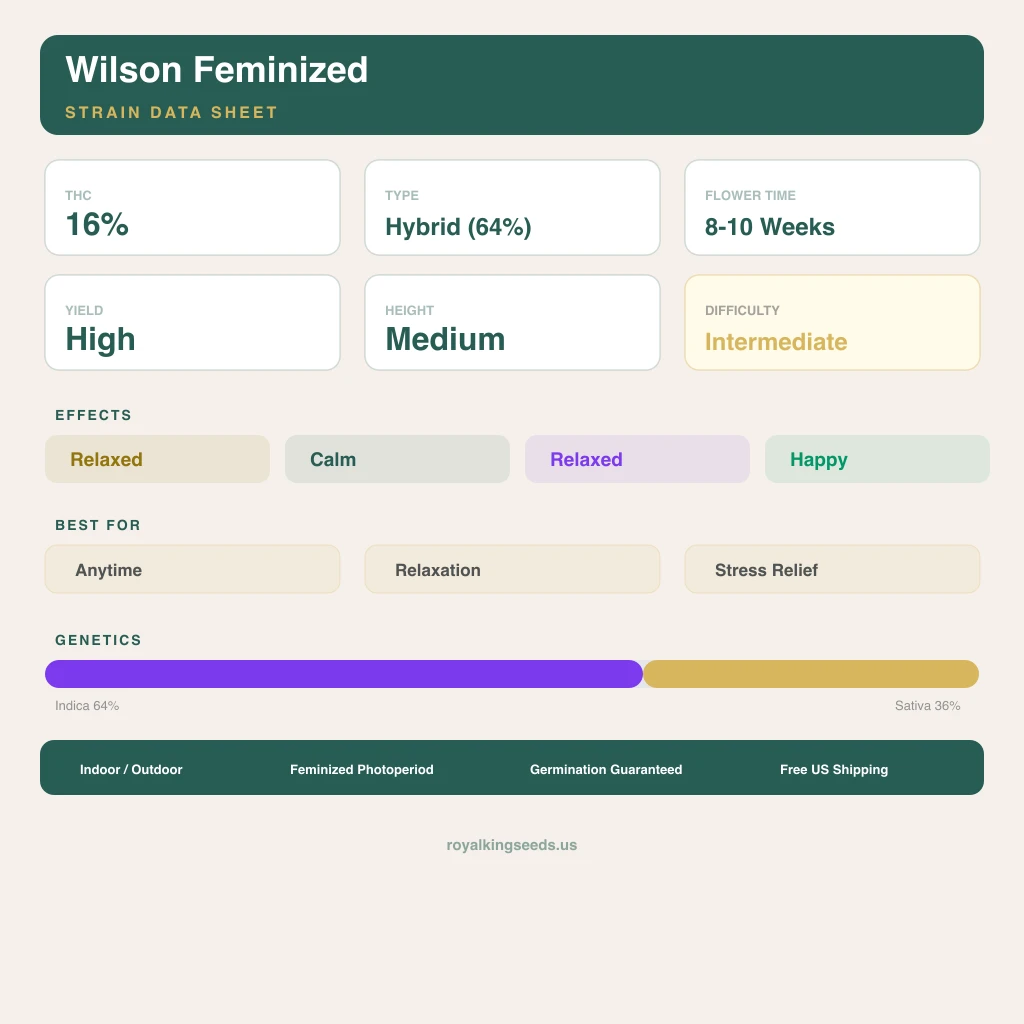 Wilson 64% indica / 36% sativa — fleur avec trichomes visibles