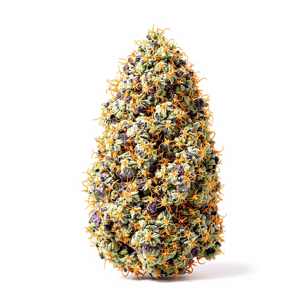 Woody Kush 83% indica / 17% sativa — fleur avec trichomes visibles