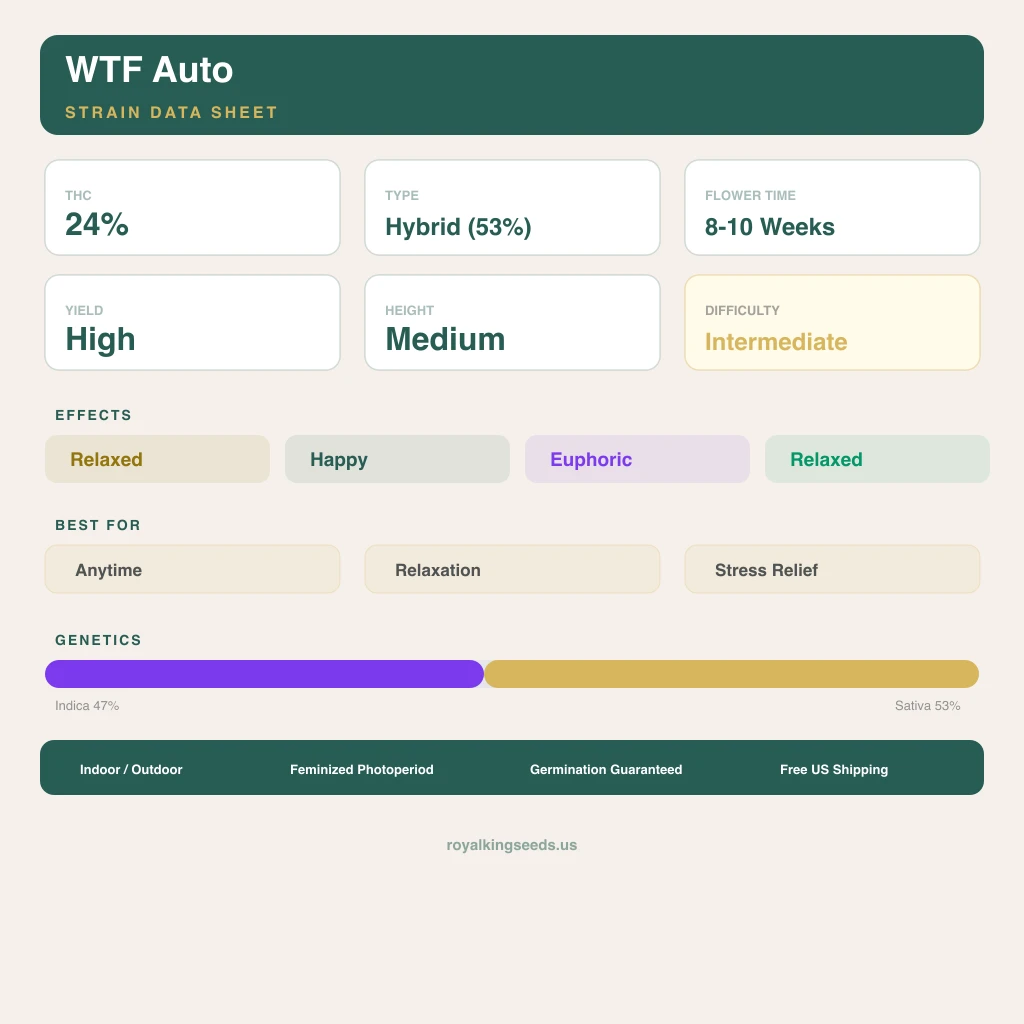 WTF 47% indica / 53% sativa — fleur avec trichomes visibles