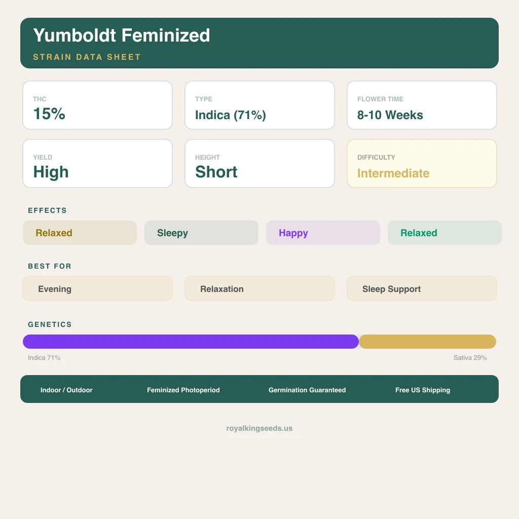 Yumboldt 71% indica / 29% sativa — fleur avec trichomes visibles
